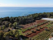 Bauland - Umag (03837)