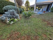 Wohnung  - Novigrad (05071)