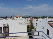 Wohnung - Novigrad (03260)