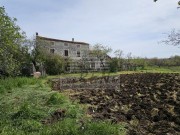 Istrien Haus - Buje (05495)