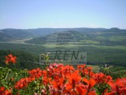 Istrien Haus - Motovun (00803)