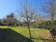 Haus - Umag (05756)