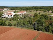 Bauland - Novigrad (04176)