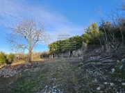 Istrien Haus  - Buzet (05203)