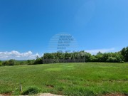 Bauland  - Novigrad (04283)