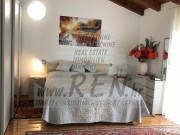 Haus - Novigrad (03966)