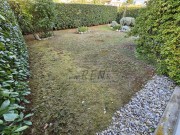 Wohnung - Novigrad (05071)