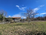 Istrien Haus - Buje (05229)