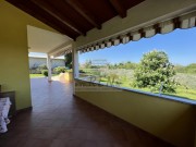 Haus - Brtonigla (04934)