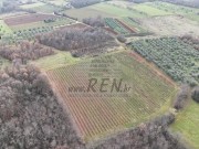 Landwirtschaftliche - Brtonigla (05682)