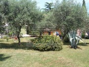 Istrien Haus  - Novigrad (03406)