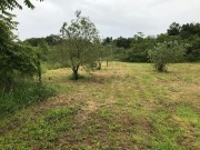 Haus - Medulin (05447)