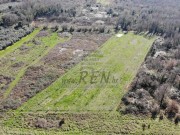 Landwirtschaftliche - Novigrad (05237)