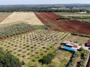 Haus - Novigrad (04964)