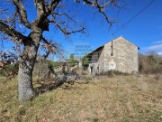 Istrien Haus - Buje (05229)