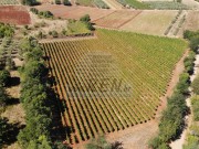 Landwirtschaftliche - Brtonigla (05681)