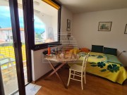 Wohnung - Novigrad (04993)