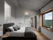 Villa - Buzet (04831)