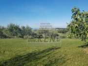 Bauland - Buje (04638)