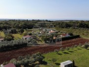 Landwirtschaftliche - Novigrad (03804)