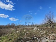 Bauland  - Umag (05488)