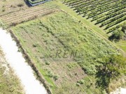 Bauland - Brtonigla (05587)