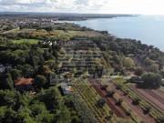 Bauland - Umag (03837)