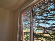 Wohnung - Novigrad (04362)