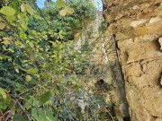 Istrien Haus - Oprtalj (05636)