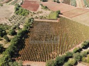Landwirtschaftliche - Brtonigla (05681)
