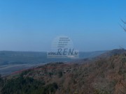 Istrien Haus - Motovun (00803)