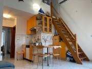 Wohnung - Novigrad (05752)