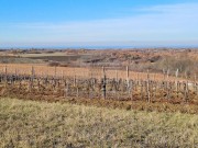 Bauland - Novigrad (04482)