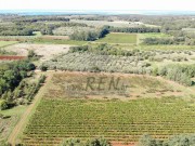 Landwirtschaftliche - Brtonigla (05682)