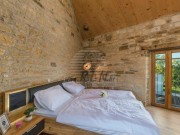 Villa - Buje (05113)