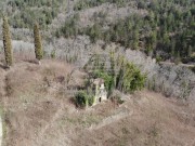 Istrien Haus - Buje (05232)