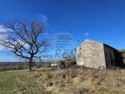 Istrien Haus - Buje (05229)