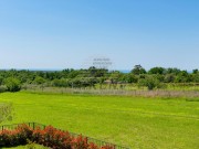 Villa - Brtonigla (05521)