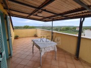 Wohnung - Poreč (04969)