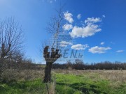 Bauland - Umag (05488)