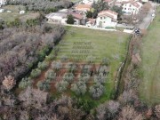 Bauland - Novigrad (03893)