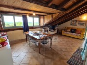 Wohnung - Poreč (04969)