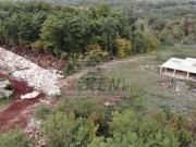 Haus - Brtonigla (04881)