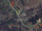 Haus - Oprtalj (05674)