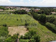 Bauland - Novigrad (04966)