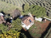 Haus - Novigrad (05749)