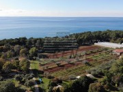 Bauland - Umag (03837)