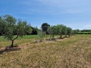 Landwirtschaftliche - Novigrad (05003)