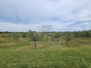 Landwirtschaftliche - Novigrad (04422)
