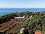 Bauland - Umag (03837)